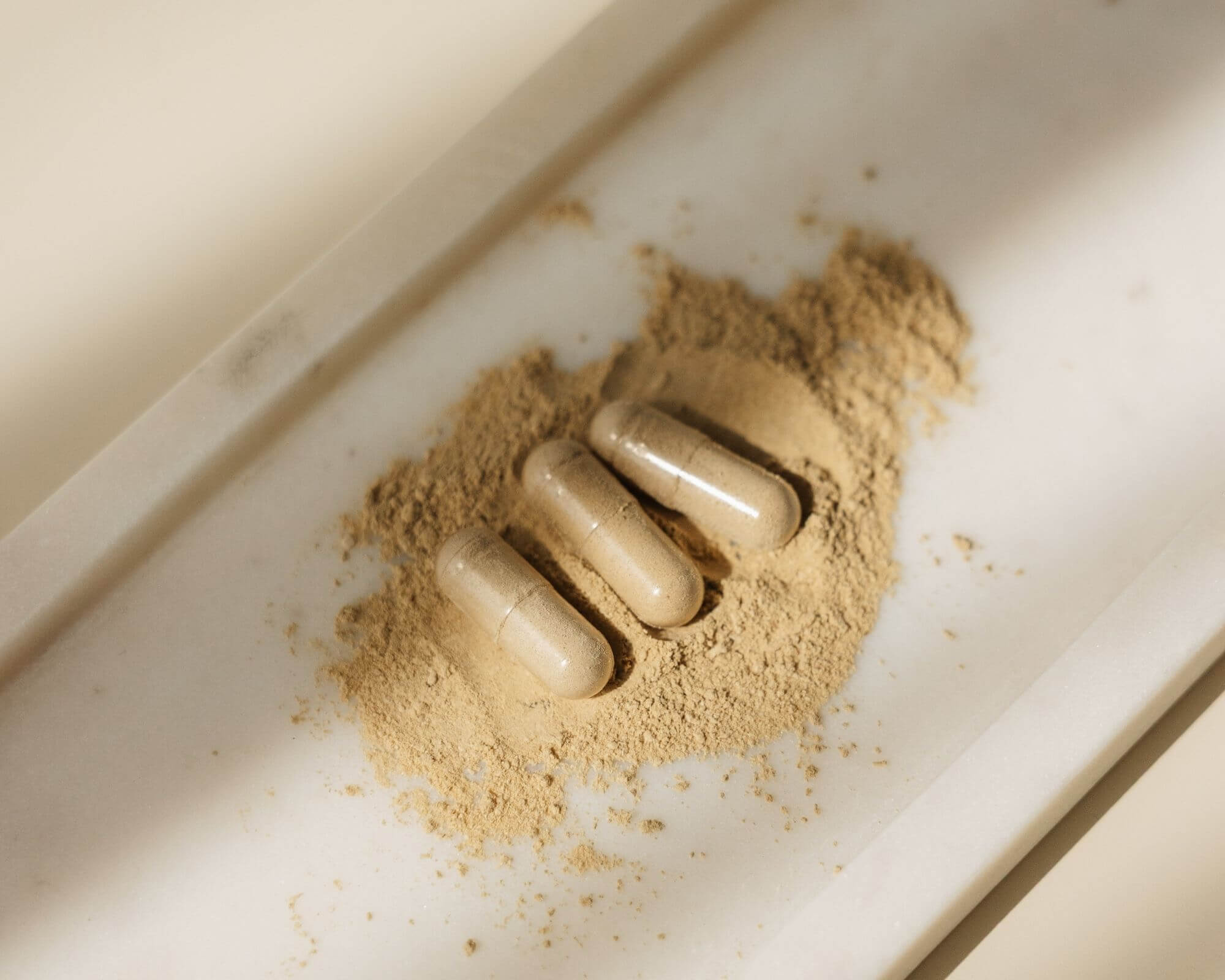 Freeze-Drying Explained: Why -40°C Matters for Real Nutrition